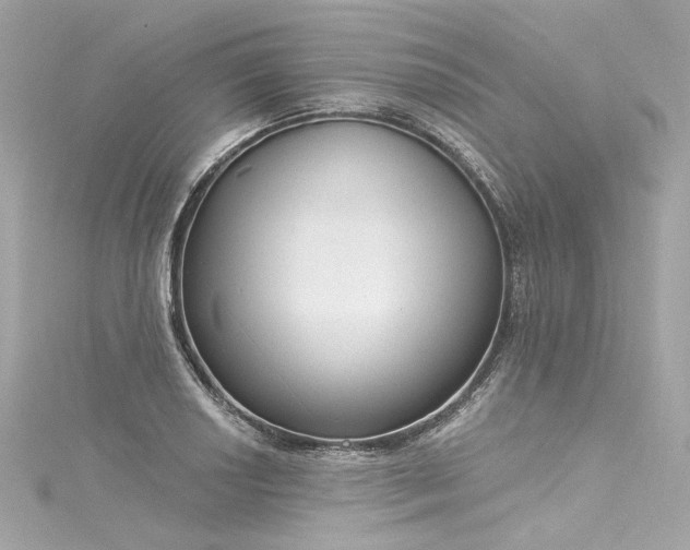 X0000116031034200911201250