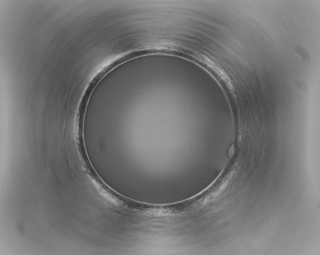 X0000116031037200911201251