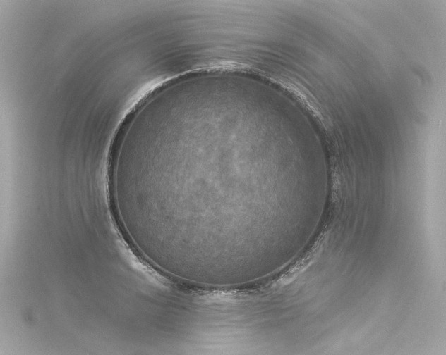 X0000116031038200911201251