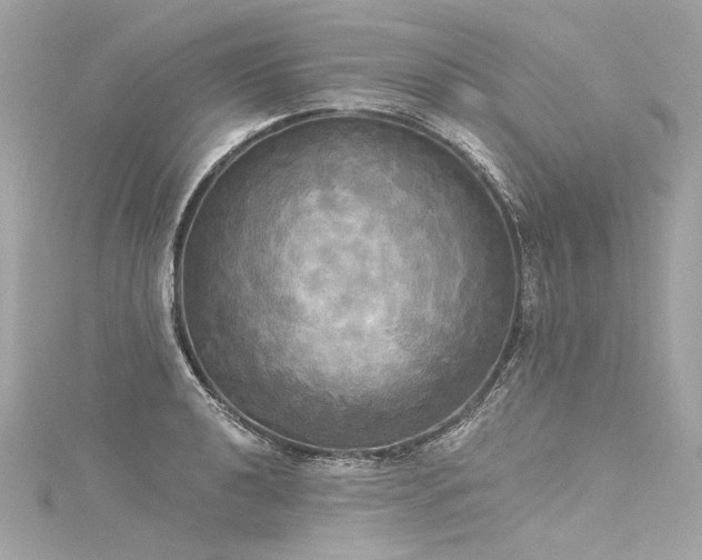 X0000116031040200911201251