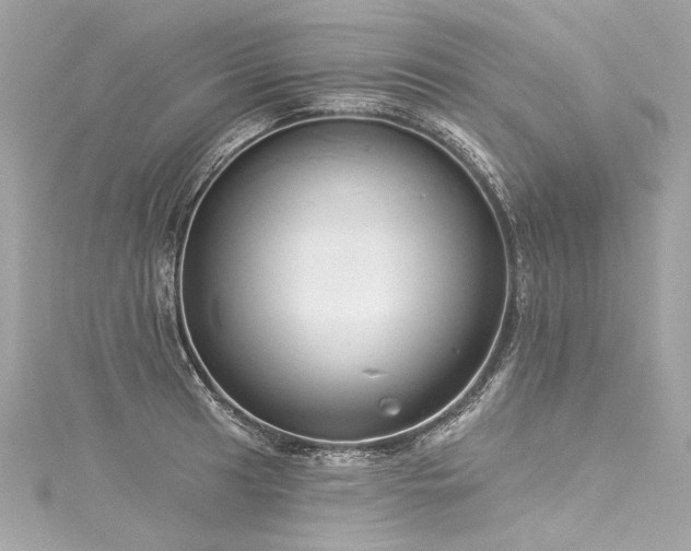X0000116031041200911201251