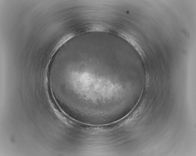 X0000116031042200911201251