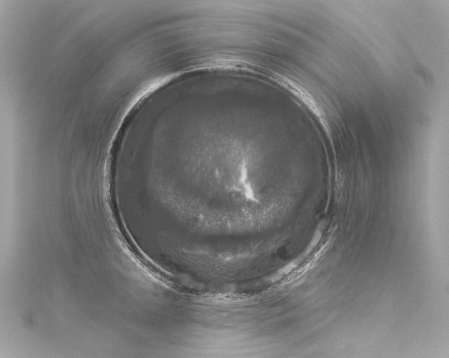 X0000116031045200911201251