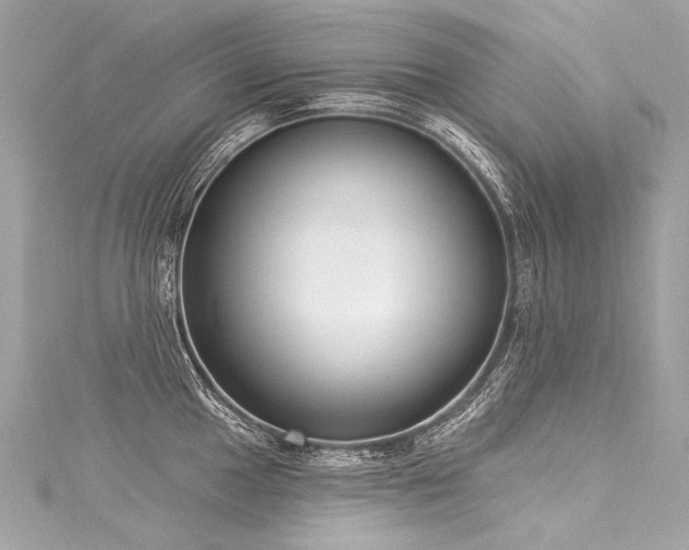 X0000116031049200911201251