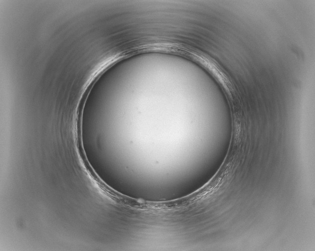 X0000116031050200911201251
