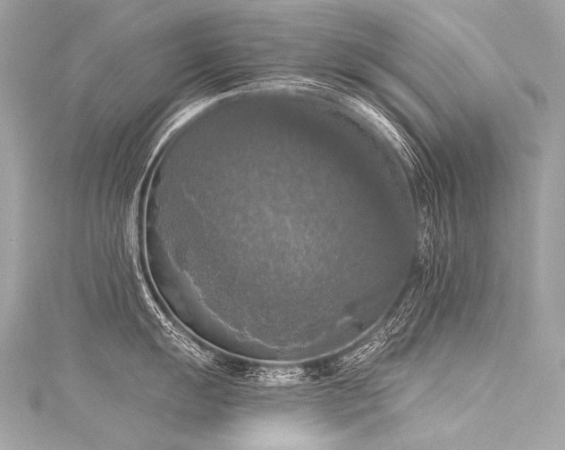 X0000116031055200911201251