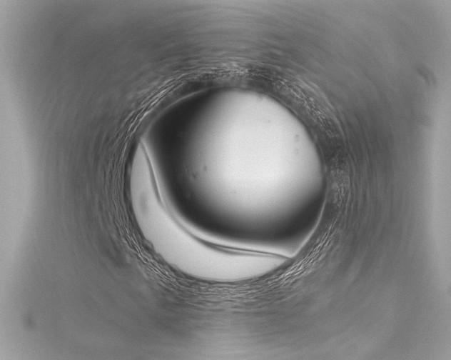 X0000116031057200911201250