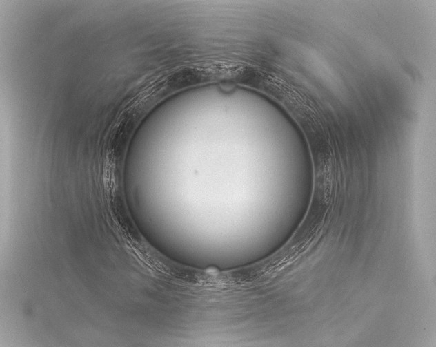 X0000116031058200911201250
