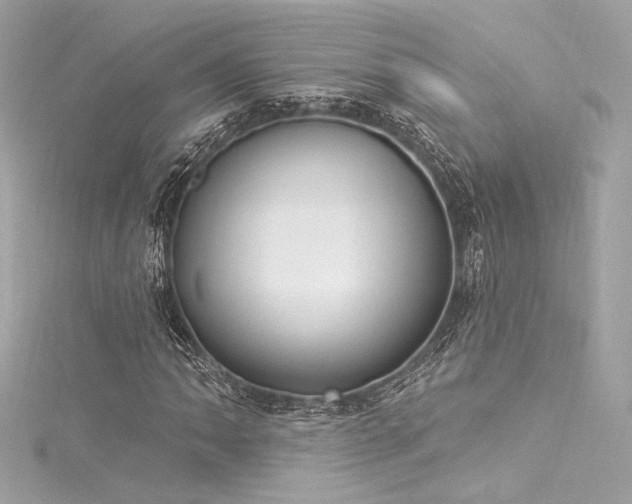 X0000116031062200911201250