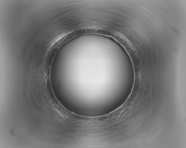 X0000116031064200911201250