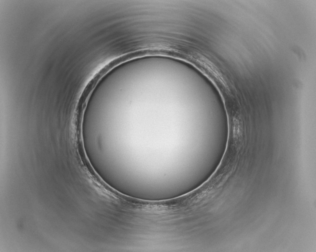 X0000116031068200911201250