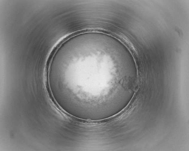 X0000116031076200911201250
