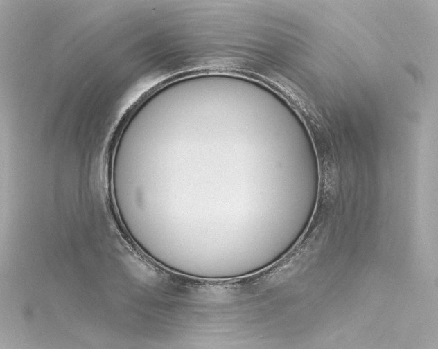 X0000116031078200911201250