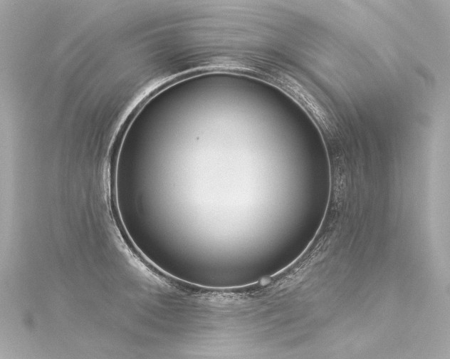 X0000116031092200911201250