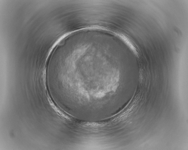 X0000116031100200911201250