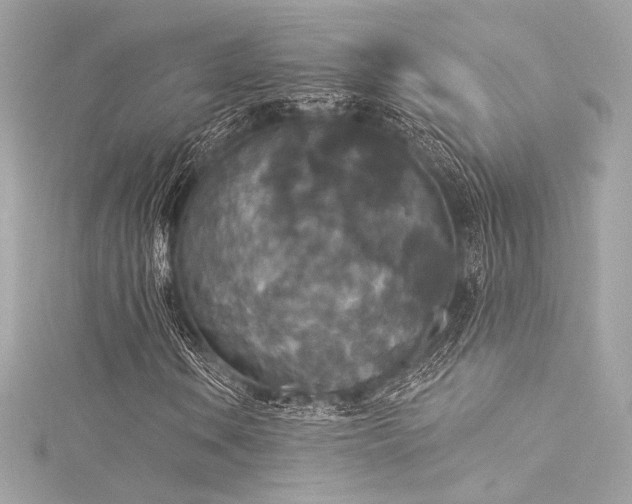 X0000116031106200911201249
