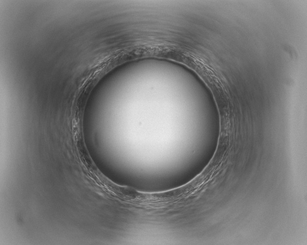 X0000116031109200911201249