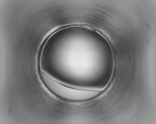 X0000116031134200911201249
