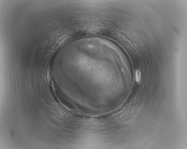 X0000116031155200911201249
