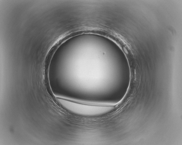 X0000116031165200911201249