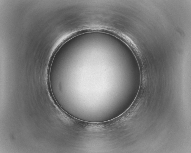X0000116031183200911201248