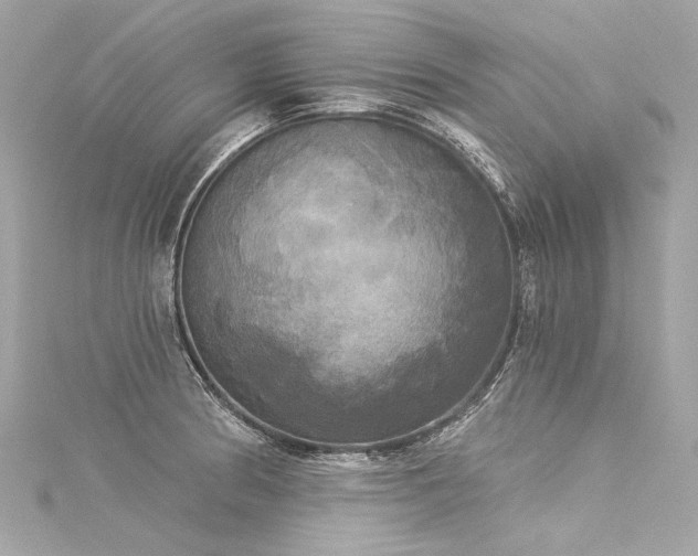 X0000116031186200911201248