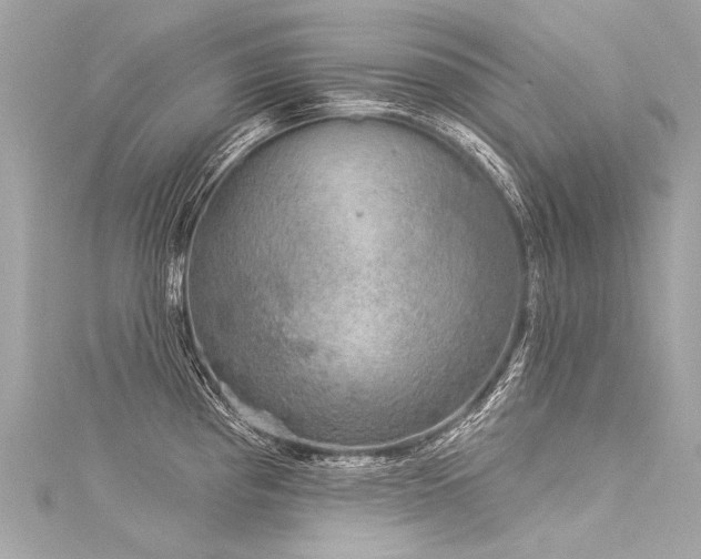 X0000116031193200911201248