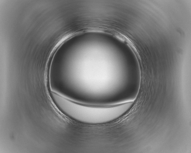 X0000116031195200911201248