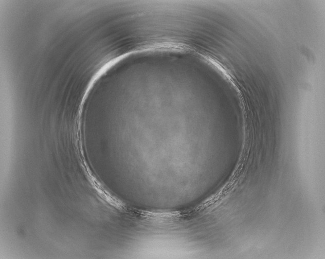 X0000116031200200911201248
