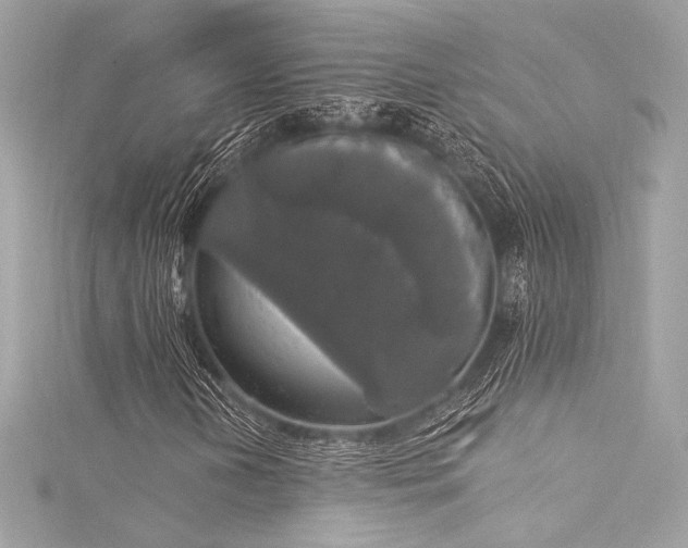 X0000116031202200911201248