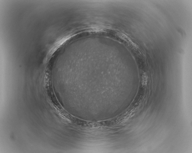 X0000116031208200911201248