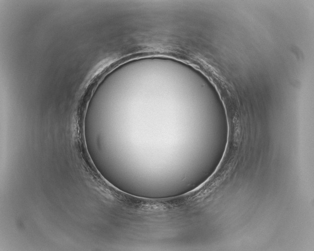 X0000116031215200911201248