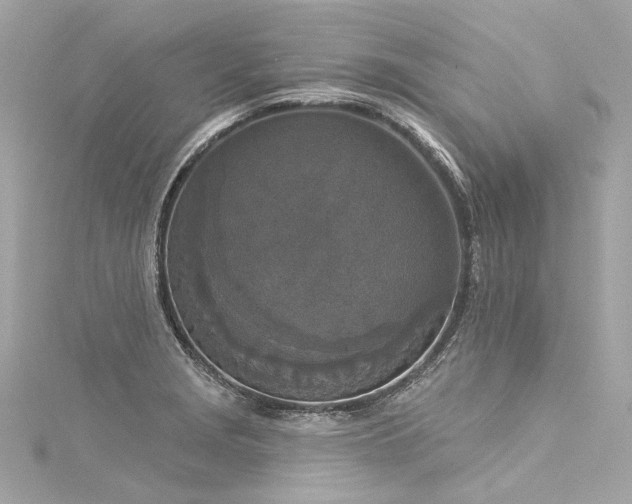 X0000116031229200911201248