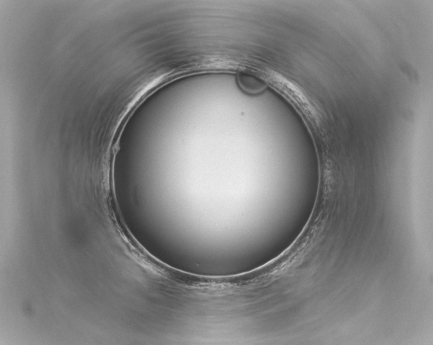 X0000116031236200911201248