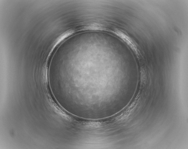 X0000116031238200911201248
