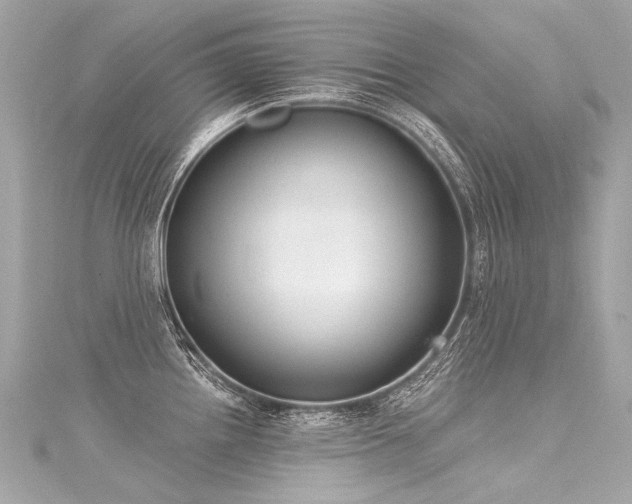 X0000116031242200911201248