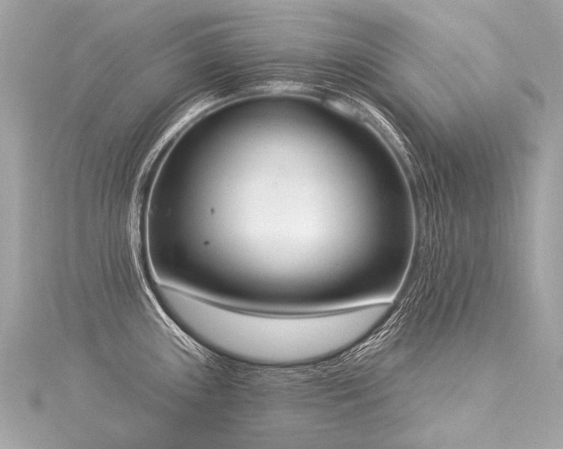 X0000116031243200911201248