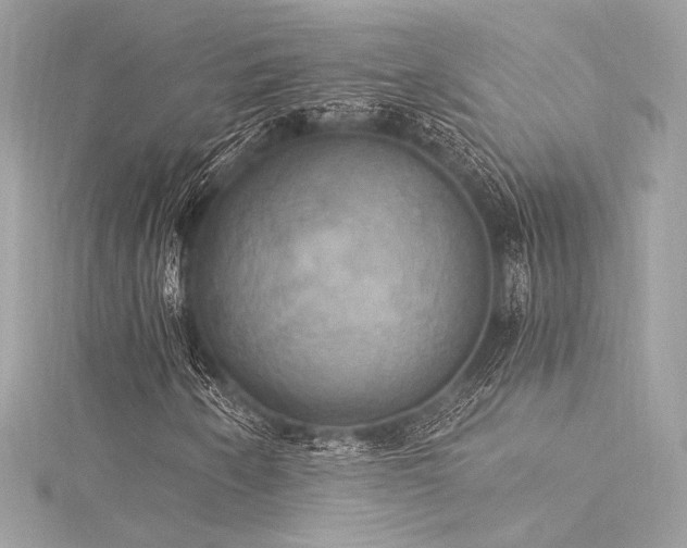 X0000116031250200911201248