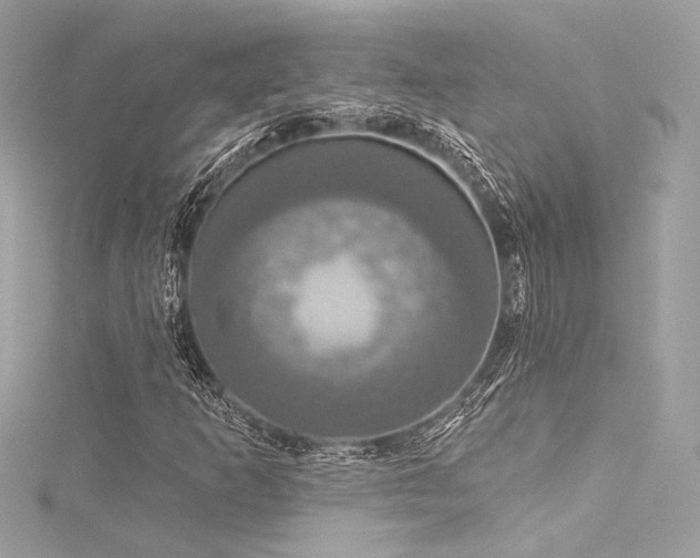 X0000116031253200911201248