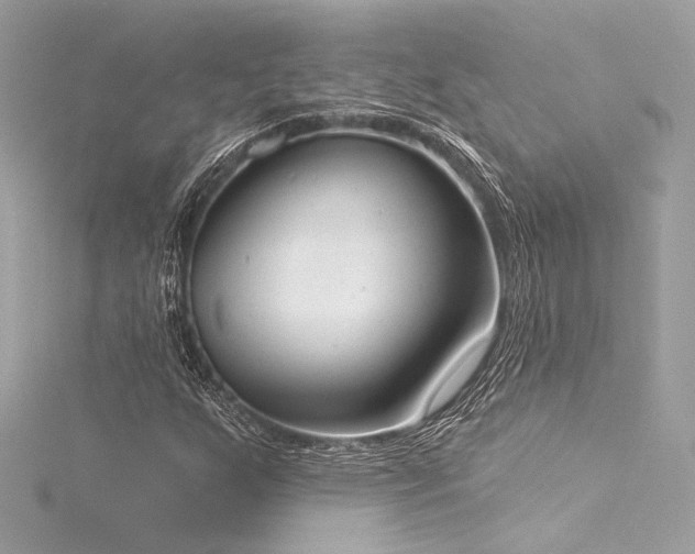 X0000116031255200911201248