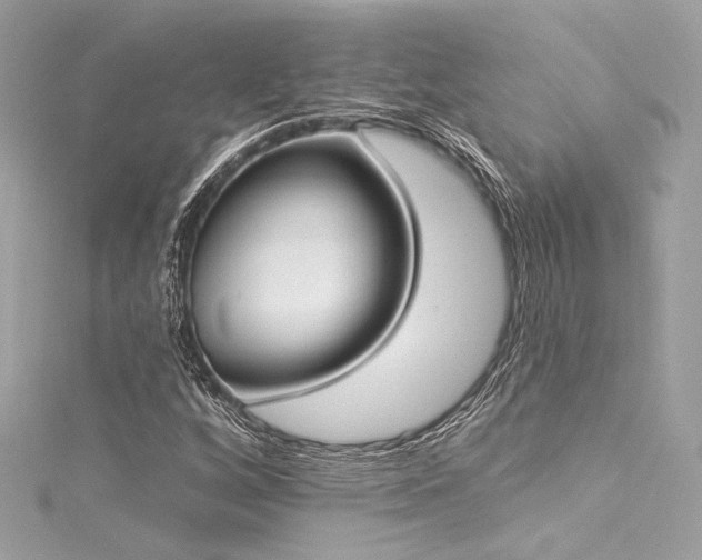X0000116031256200911201248