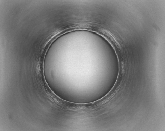X0000116031260200911201247