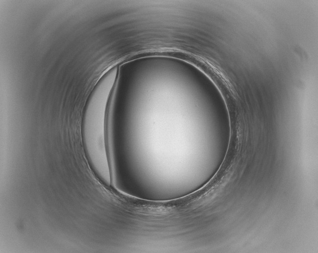 X0000116031273200911201247
