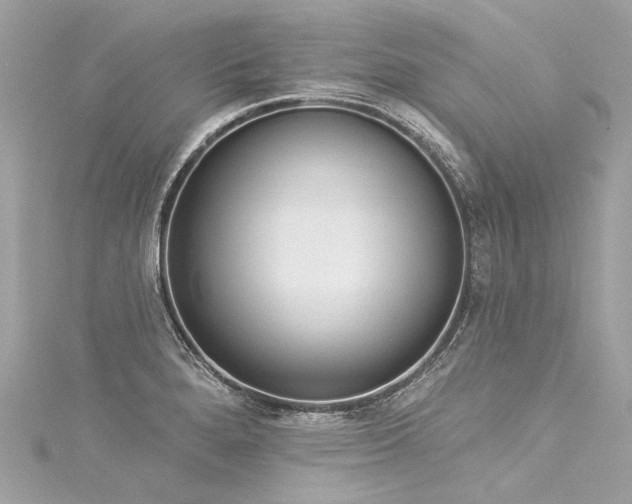 X0000116031280200911201247