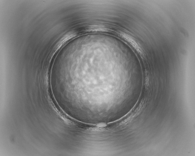 X0000116031282200911201247
