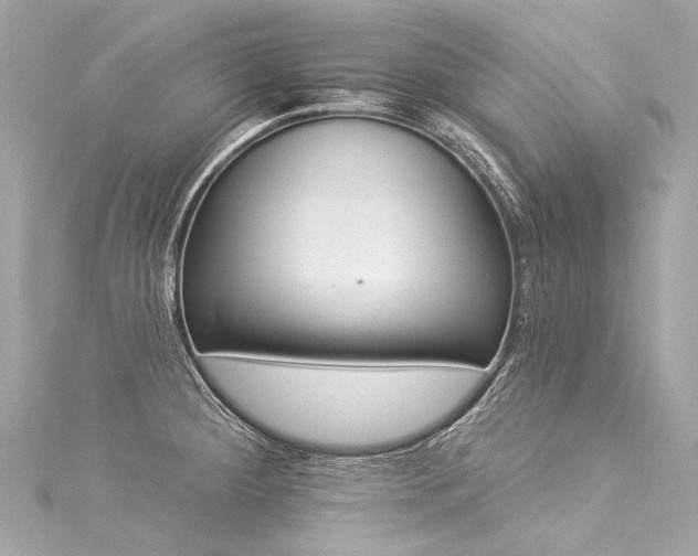 X0000116031284200911201247