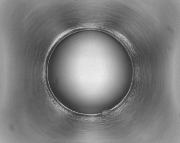 X0000116031288200911201247