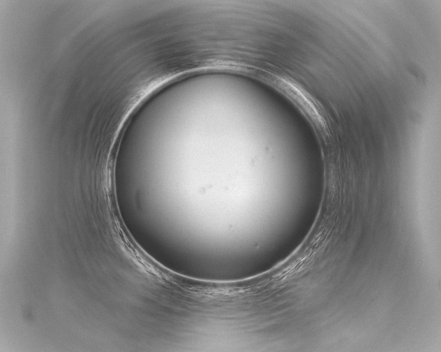 X0000116031292200911201247