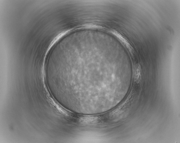 X0000116031294200911201247