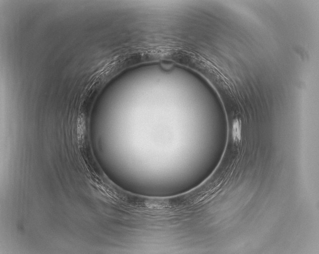 X0000116031299200911201246